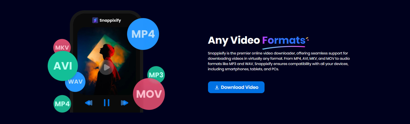 video formats