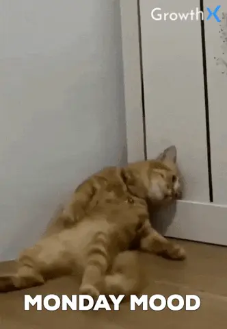 my monday mood