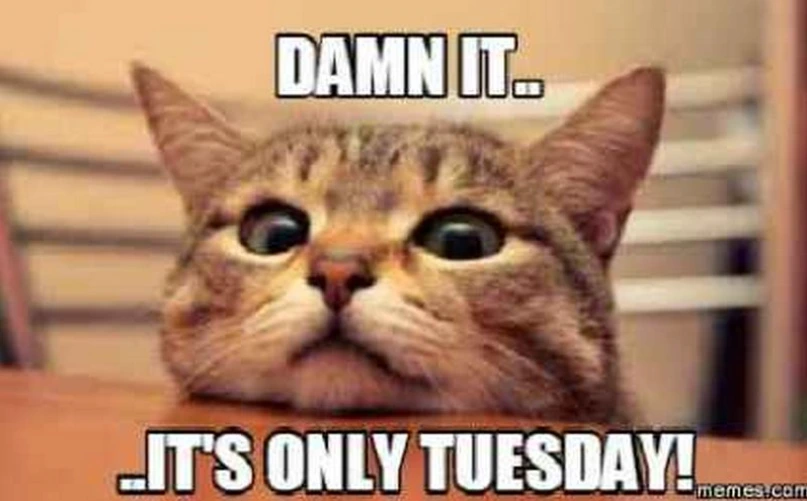 it's only tuesday