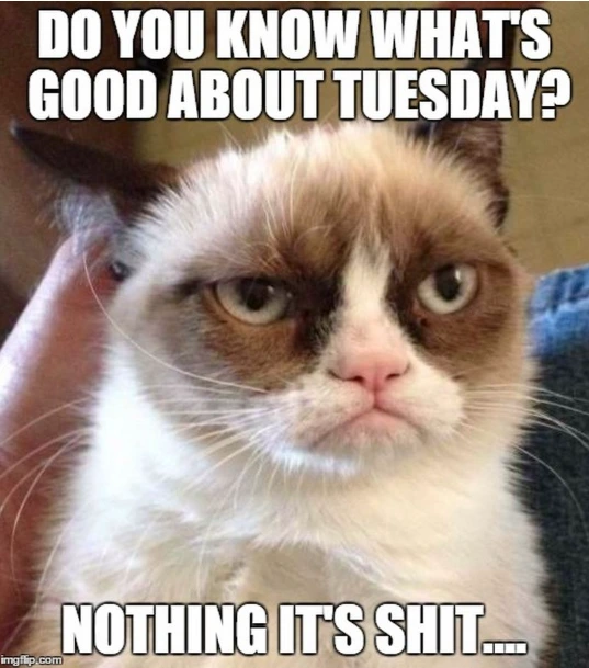tuesday it's shit