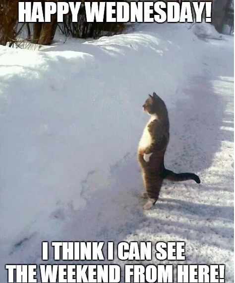 i can see the weekend