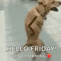 hello friday