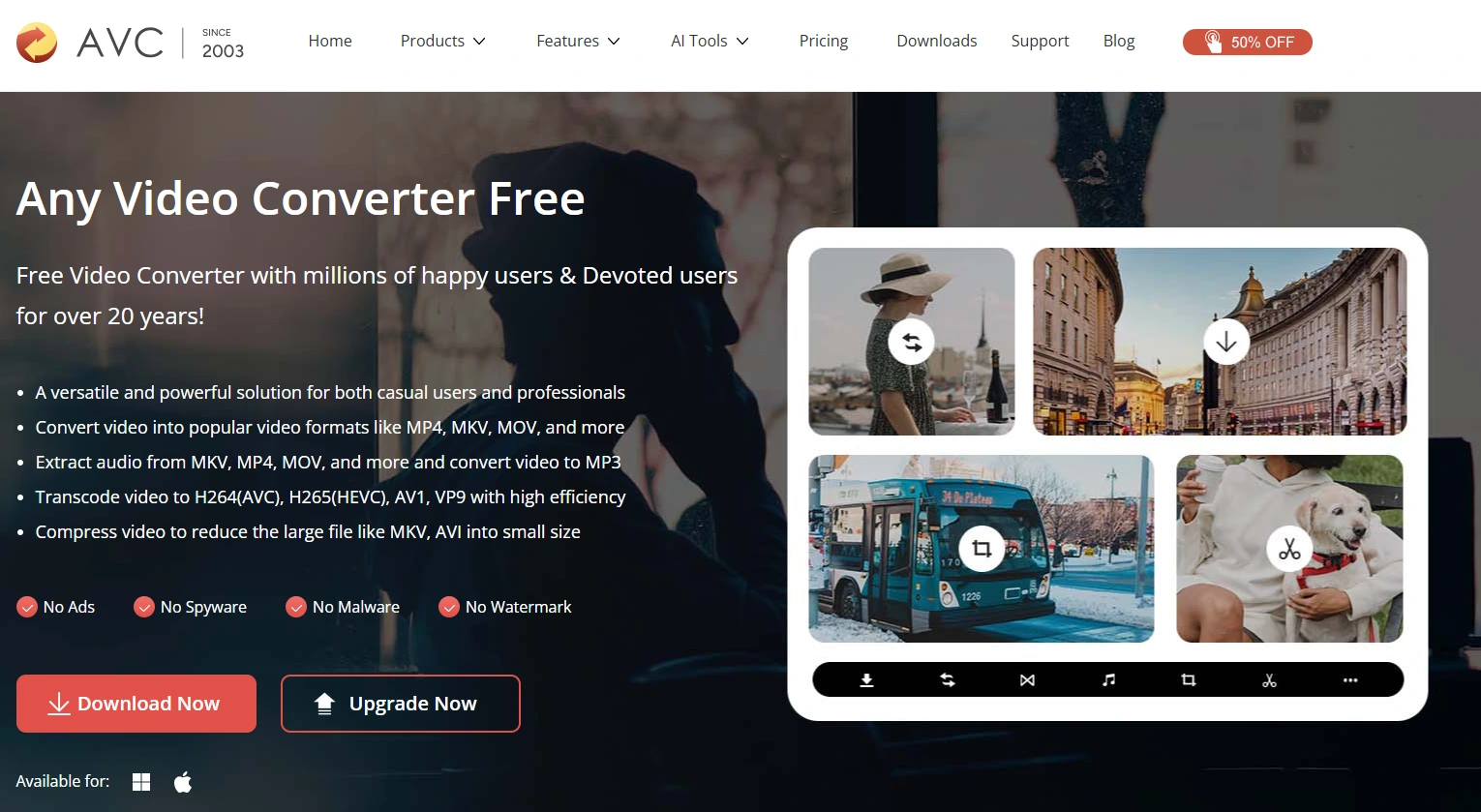 Any Video Converter Free