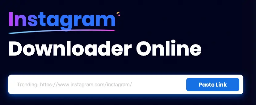 web tool for instagram video downloader
