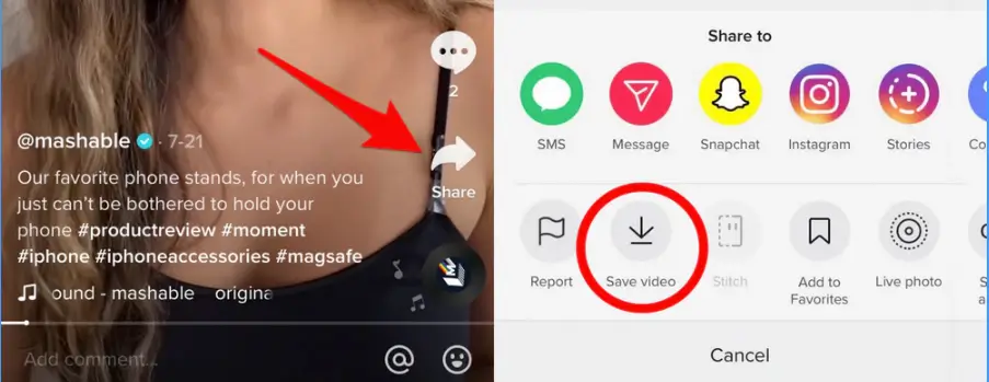 Download TikTok Video