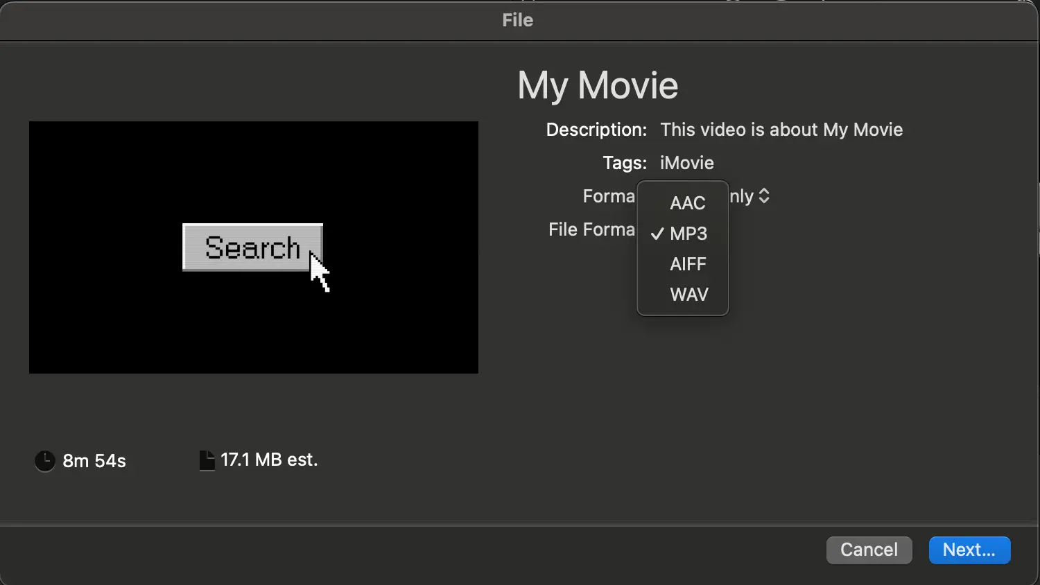 Choose Your File Format