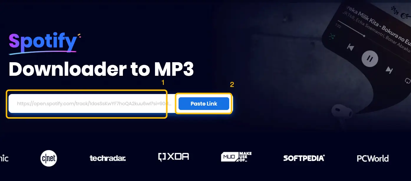 Paste the link into Snappixify