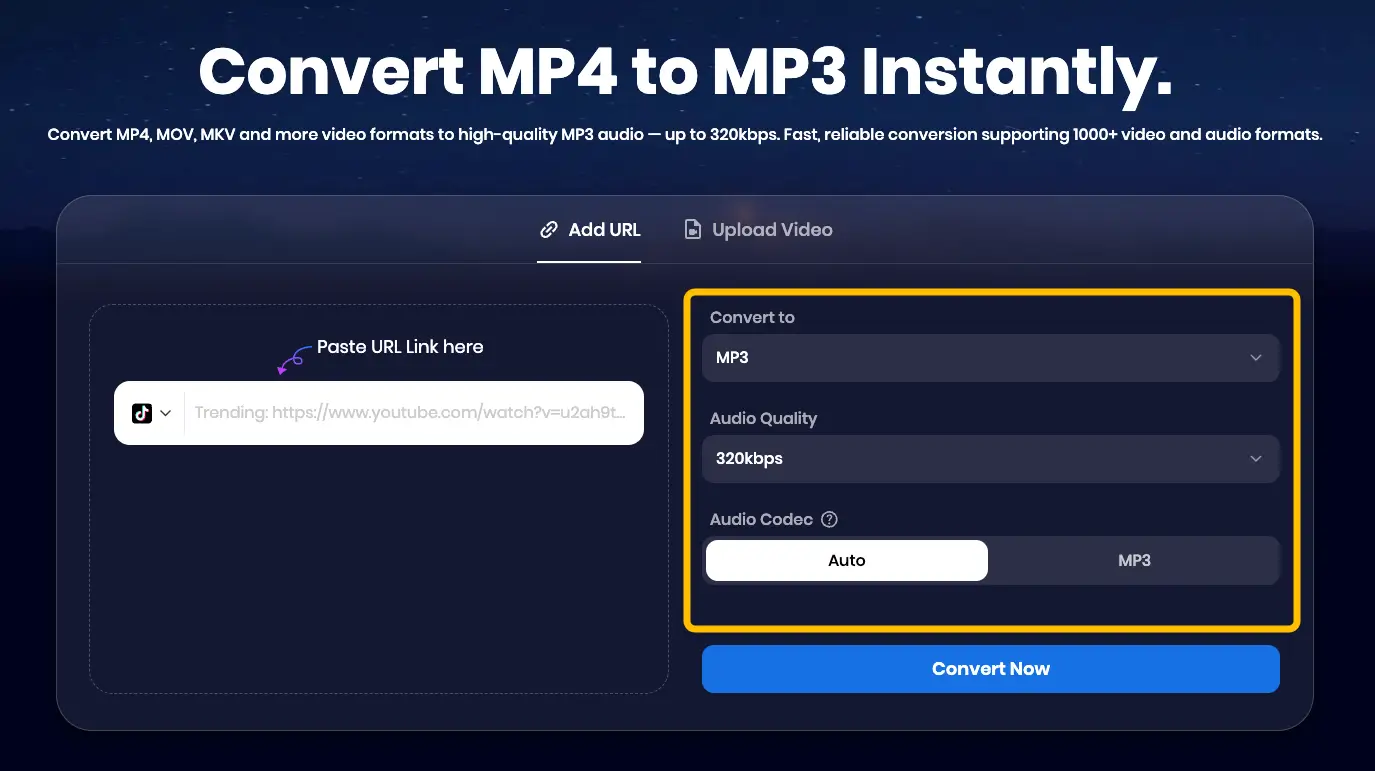 Paste and Select Your Preferences