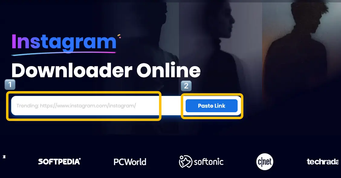 Paste Link to the Snappixify website