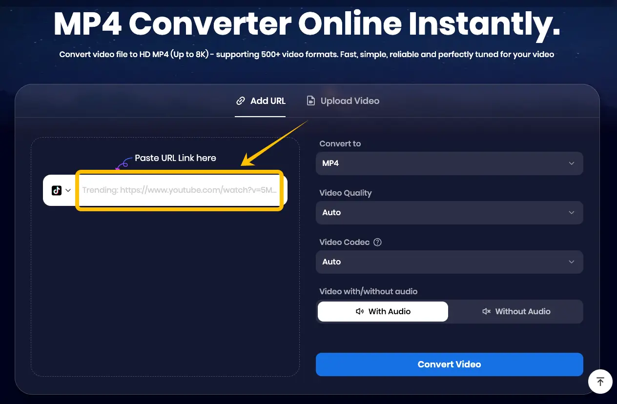 Paste video URL into Snappixify downloader