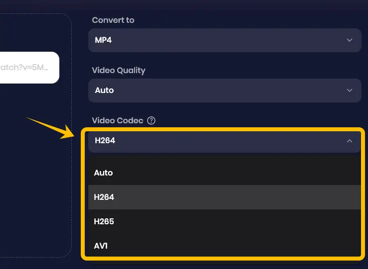 Choose H264 or H265 video codec