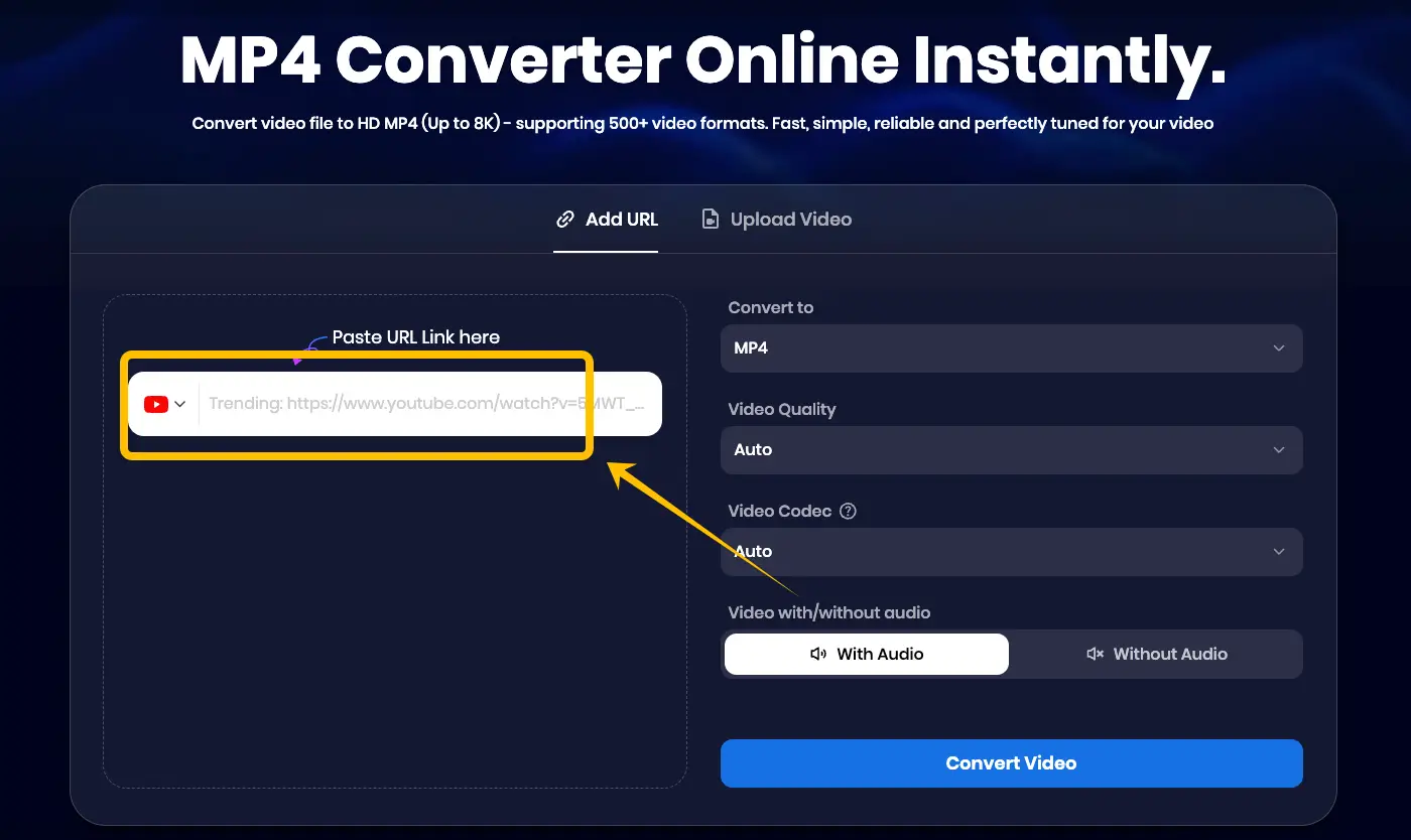 Pasting the URL into the Snappixify search bar